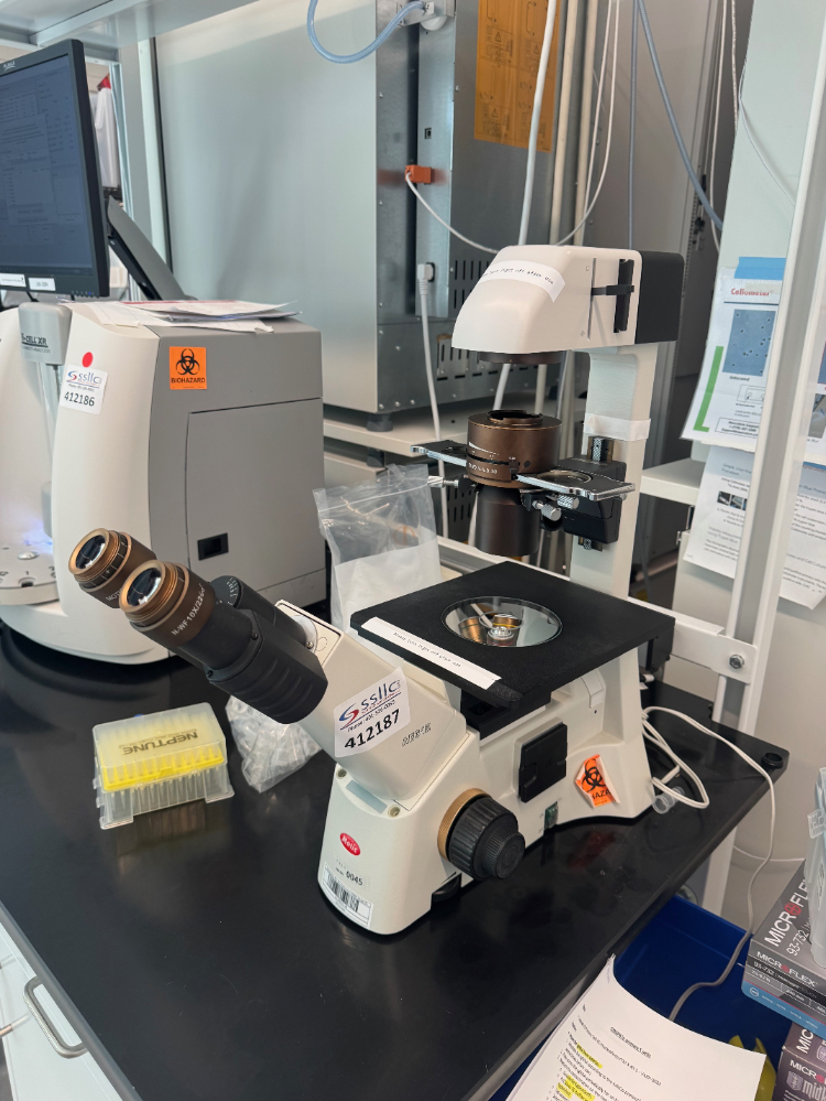 Image of Motic AE31E Inverted Microscope